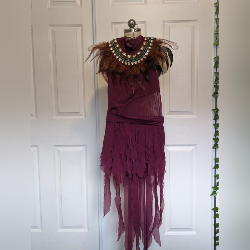 Dance/skating/show dress